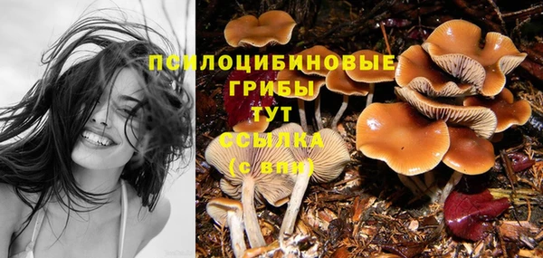 мдпв Волоколамск
