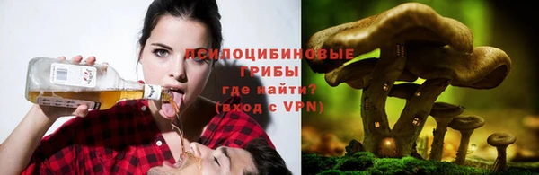 мдпв Волоколамск