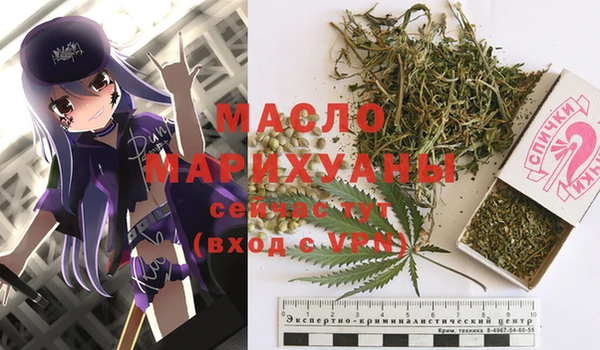 мдпв Волоколамск