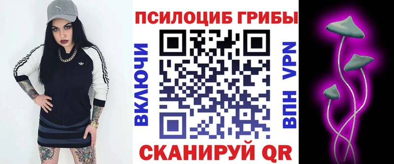 Галлюциногенные грибы GOLDEN TEACHER  Купить где  Пыталово 